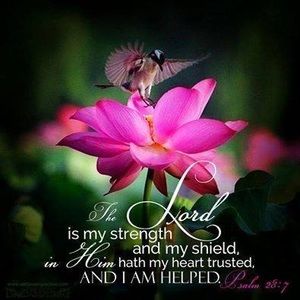 Meet your Posher, Joann